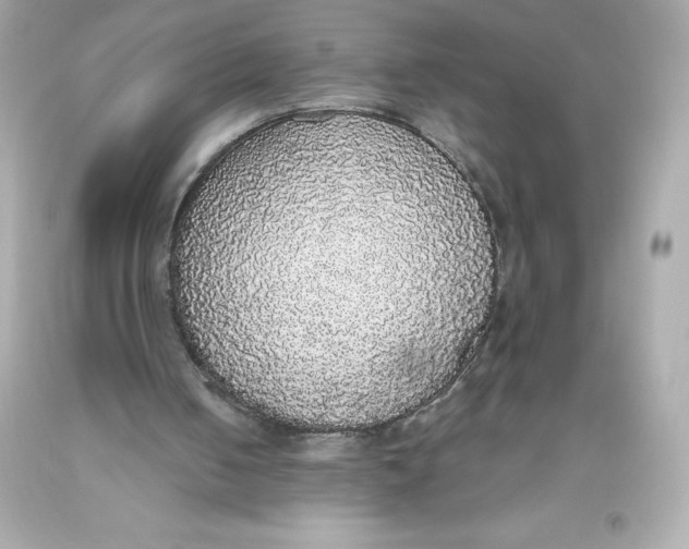 X0000093620050200711051247