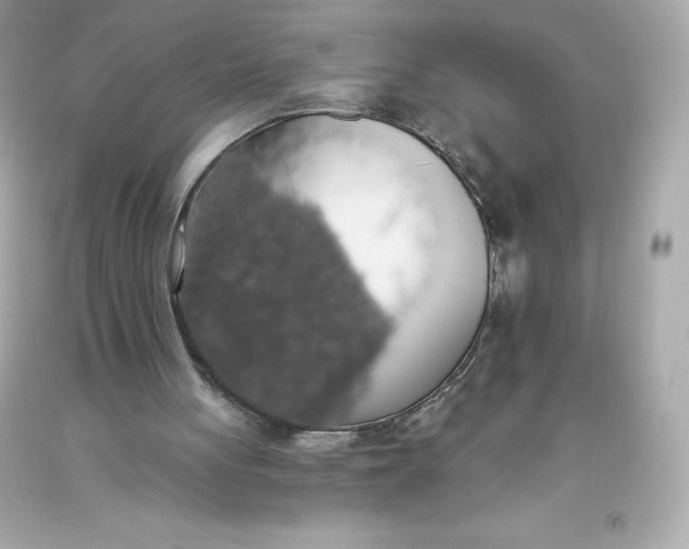 X0000093620051200711051247