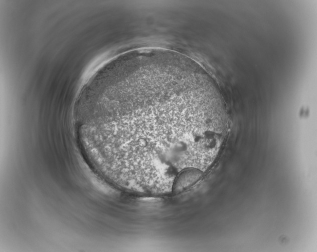 X0000093620053200711051247