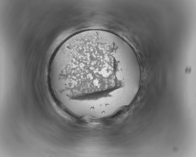 X0000093620055200711051247