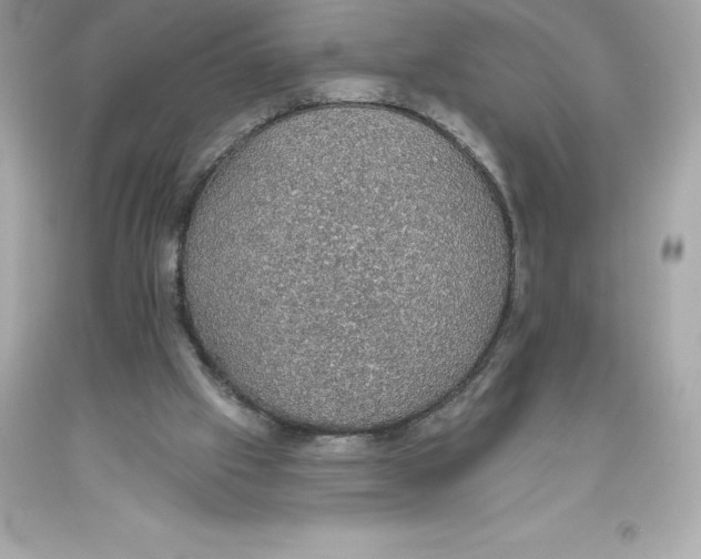 X0000093620057200711051247