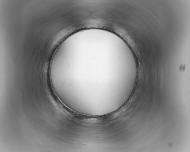 X0000093620058200711051247