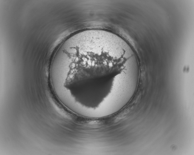 X0000093620059200711051247