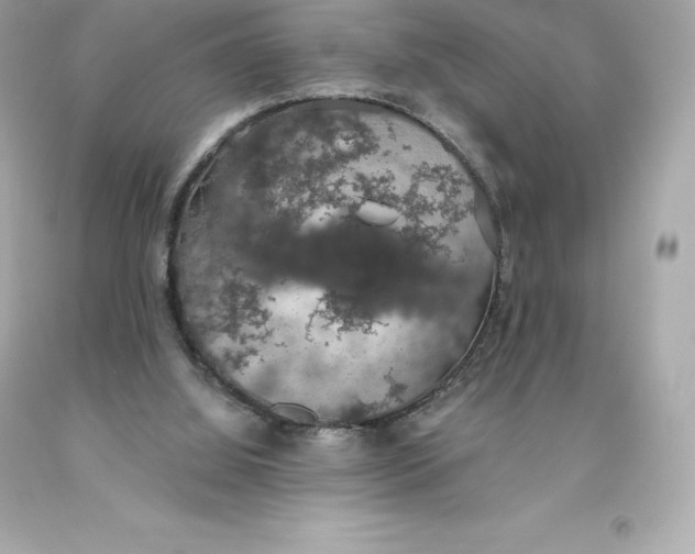 X0000093620060200711051247