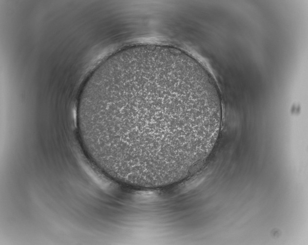 X0000093620061200711051247