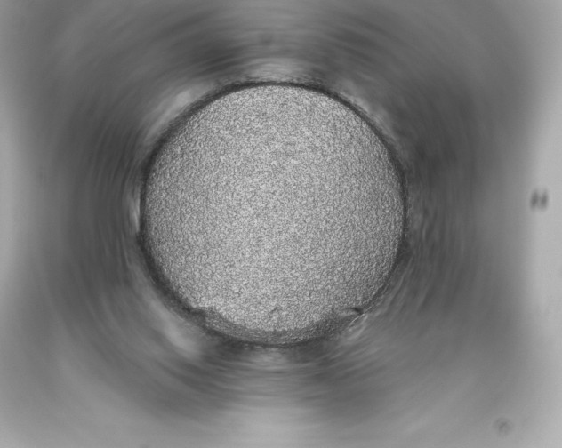 X0000093620062200711051247