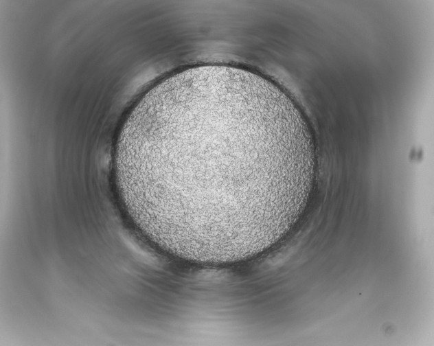 X0000093620063200711051247