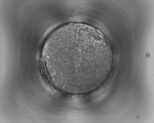 X0000093620064200711051247