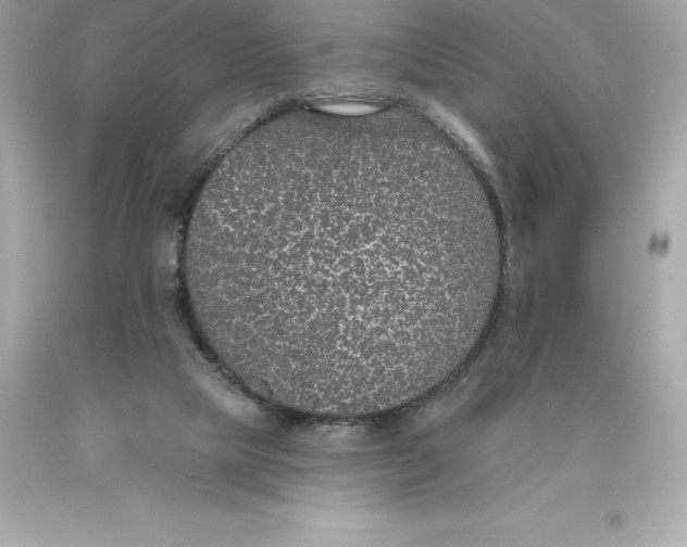 X0000093620065200711051247