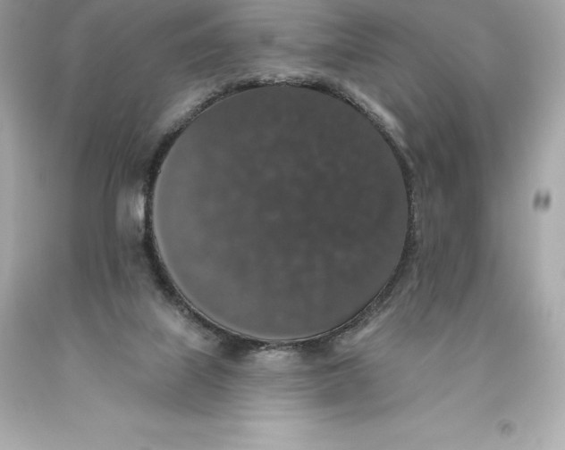 X0000093620067200711051247