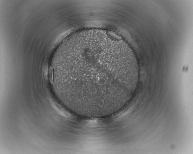 X0000093620068200711051247