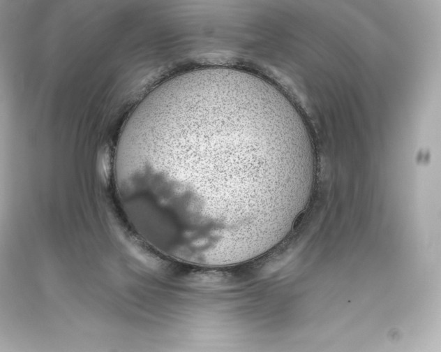 X0000093620069200711051247