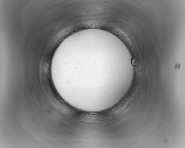 X0000093620071200711051247