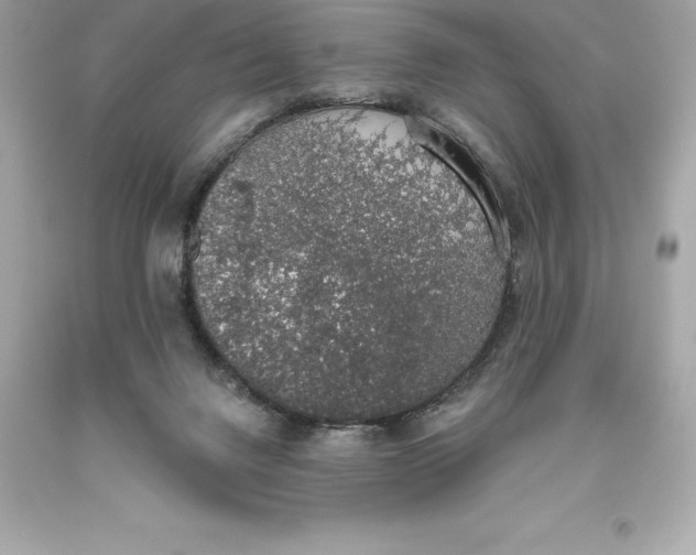 X0000093620072200711051247