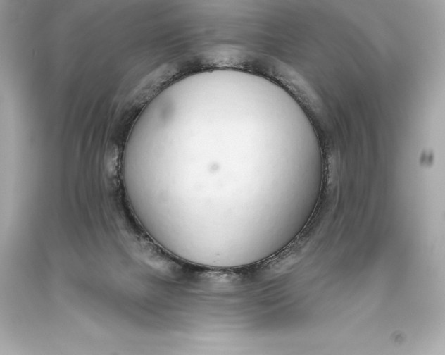 X0000093620073200711051247