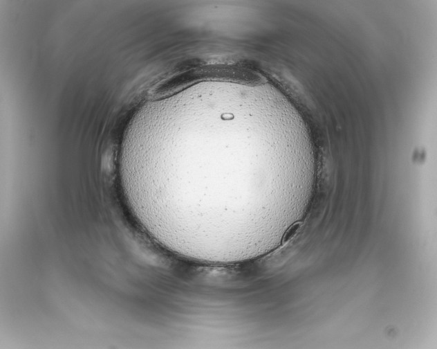 X0000093620074200711051247