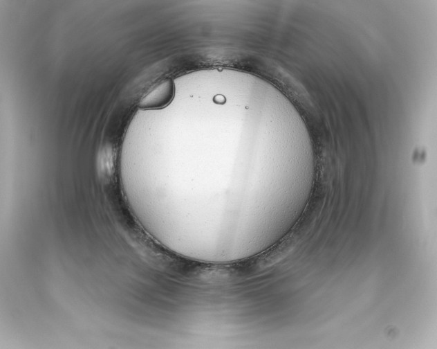 X0000093620075200711051247