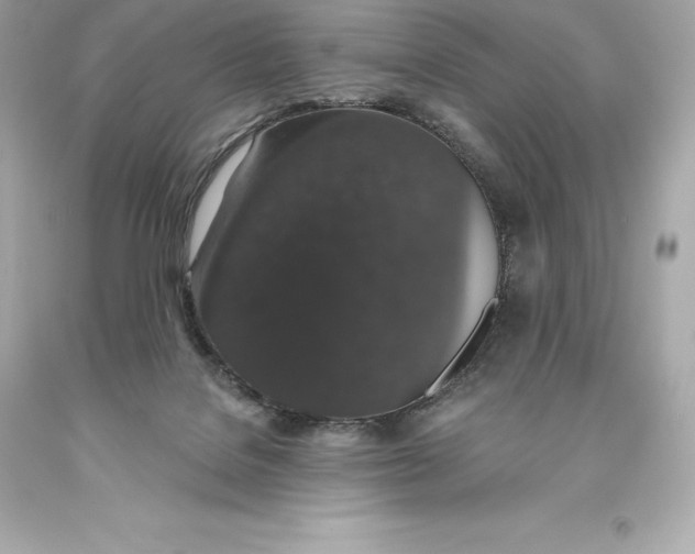 X0000093620076200711051247