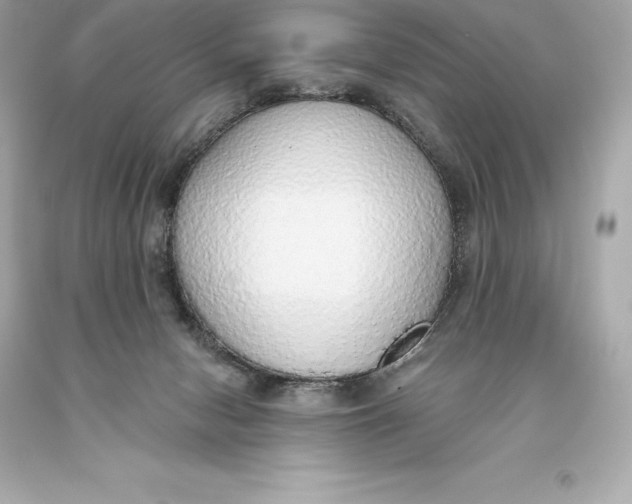 X0000093620078200711051247