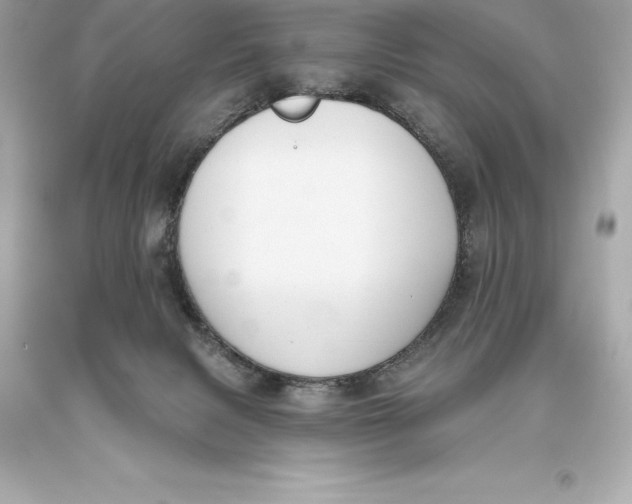 X0000093620079200711051248