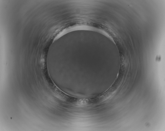 X0000093620080200711051248