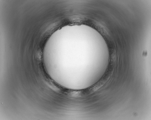 X0000093620081200711051248