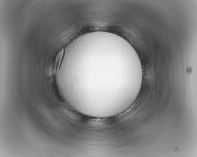 X0000093620082200711051248