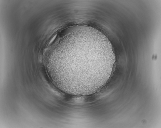 X0000093620084200711051248