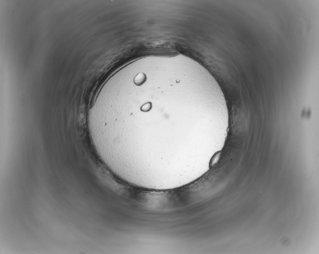 X0000093620085200711051248