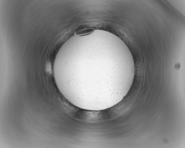 X0000093620089200711051248