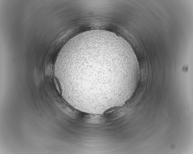 X0000093620093200711051248