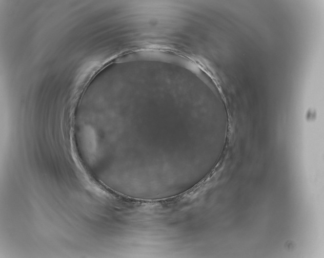 X0000093620097200711051247