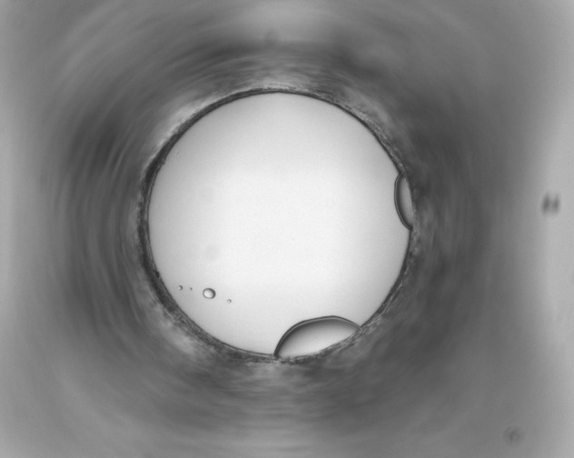 X0000093620098200711051247