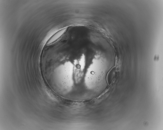 X0000093620099200711051247