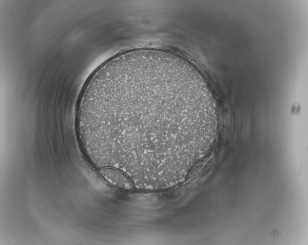 X0000093620100200711051247