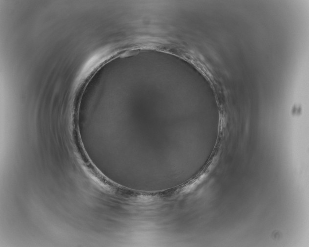 X0000093620101200711051247