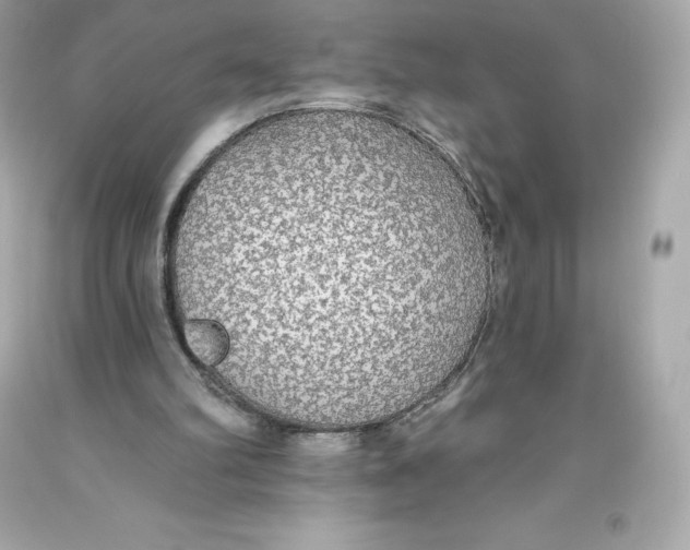 X0000093620102200711051247