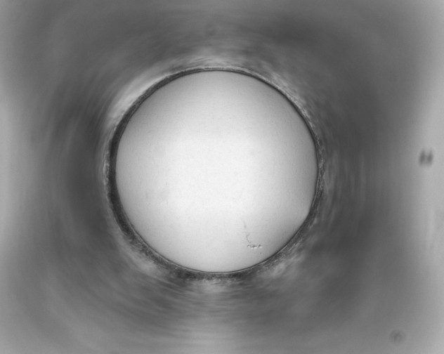 X0000093620103200711051247