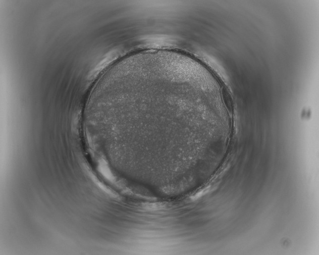 X0000093620105200711051247