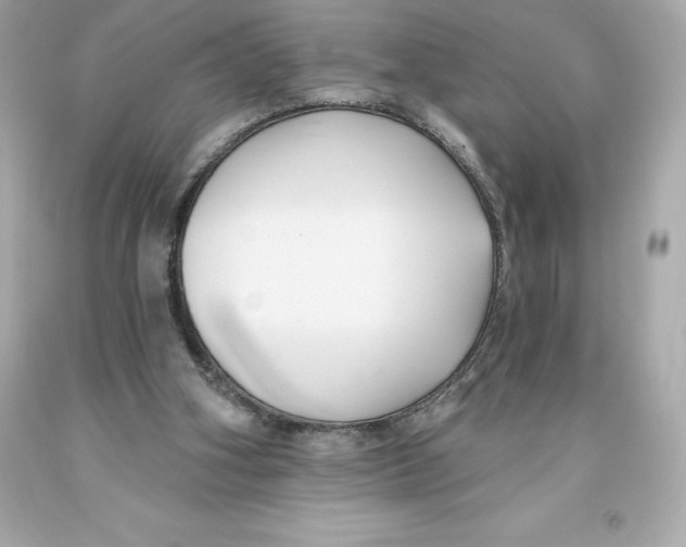 X0000093620106200711051247