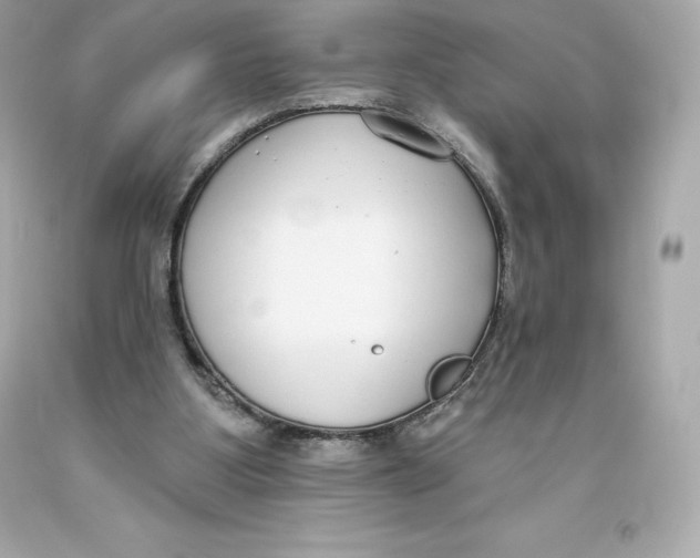 X0000093620107200711051247