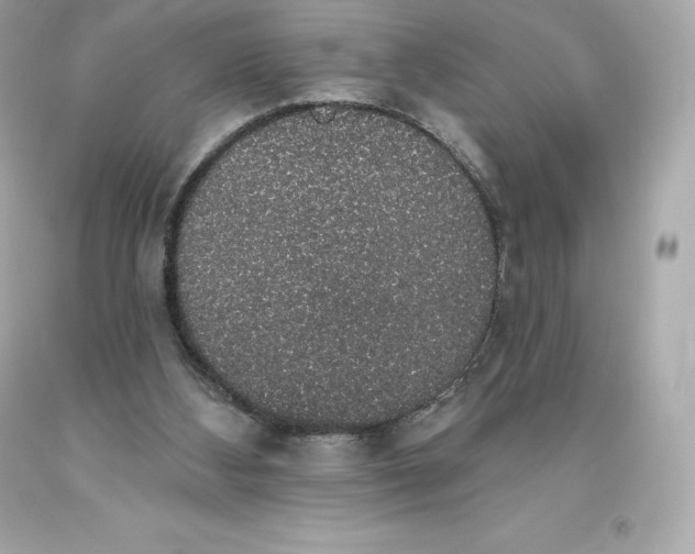 X0000093620108200711051247