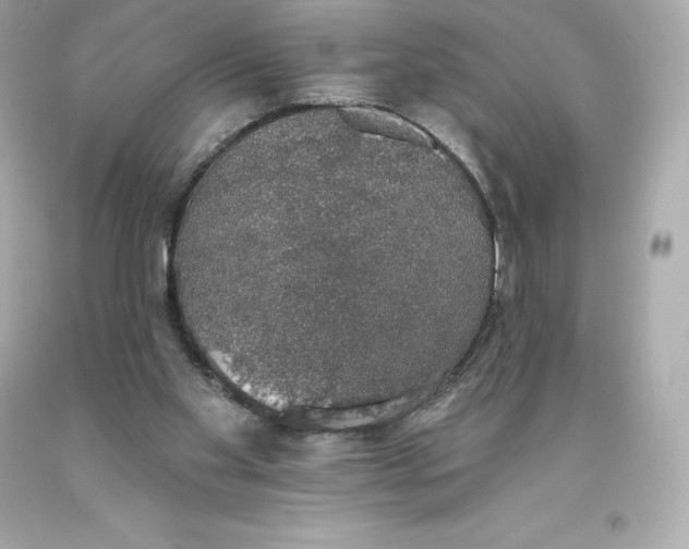 X0000093620109200711051247