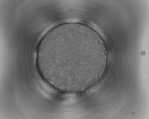 X0000093620110200711051247