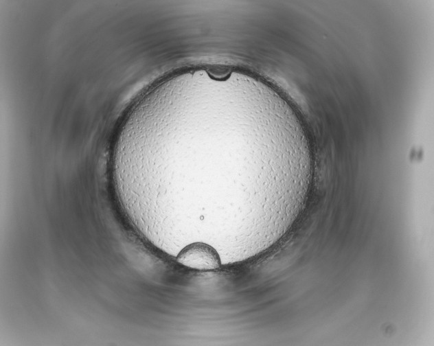 X0000093620111200711051247