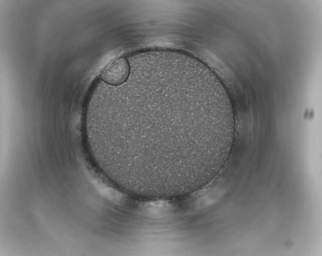 X0000093620112200711051247