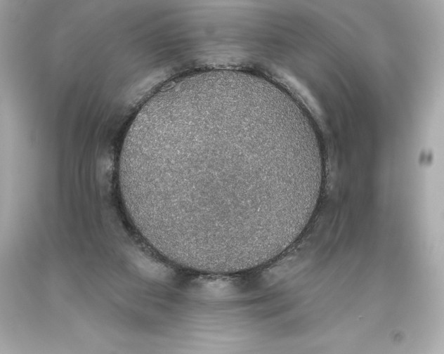 X0000093620113200711051247