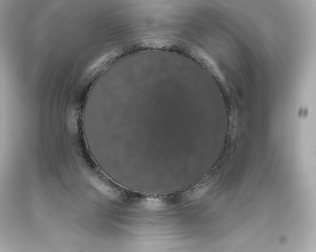 X0000093620114200711051247