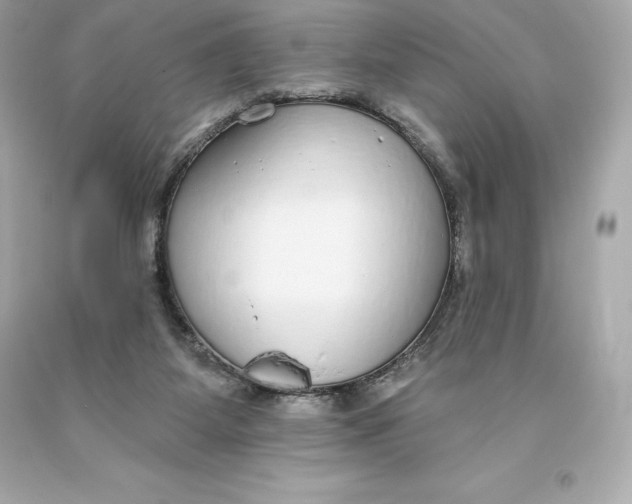 X0000093620115200711051247