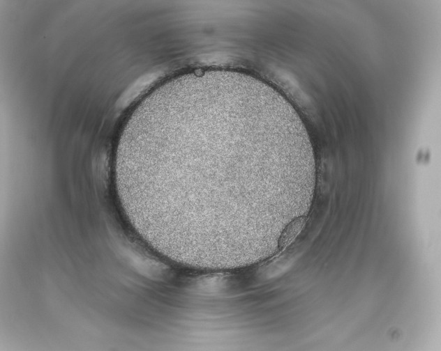 X0000093620116200711051247